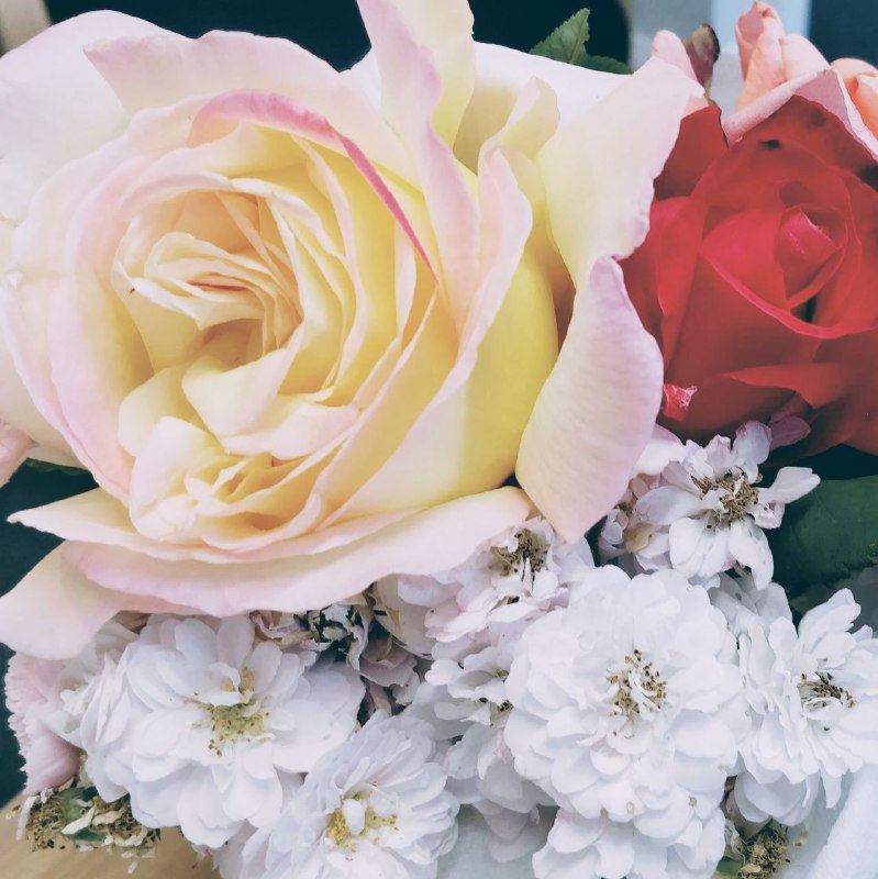 Contact Hawkins and Sons Ltd.