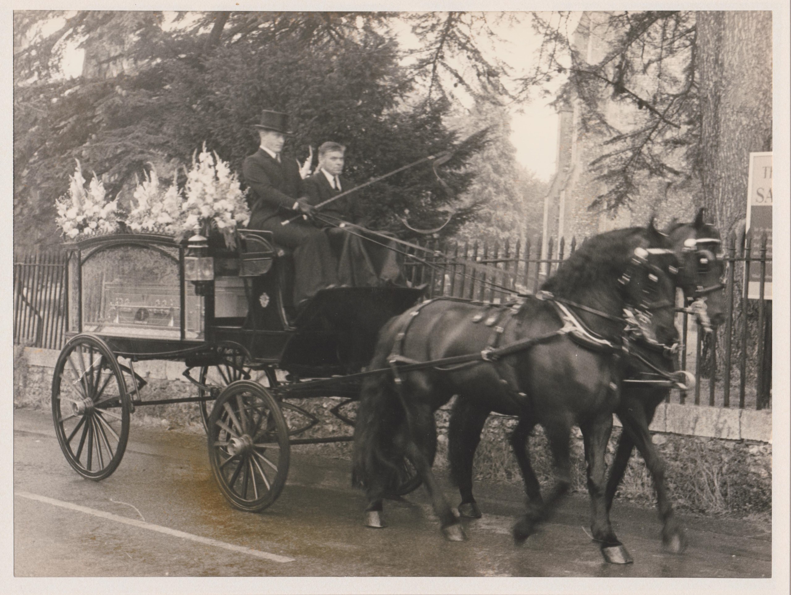 Traditional Horse Drawn Hearse and Carriage Funeral Transport